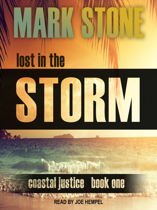 Title details for Lost in the Storm by Mark Stone - Wait list